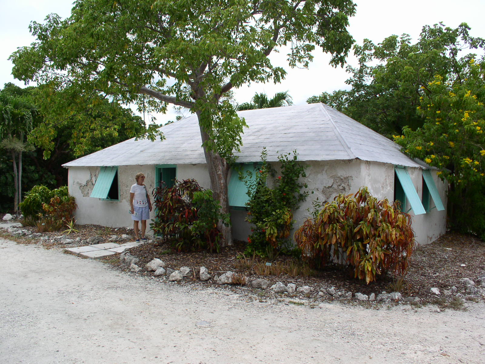 photo1